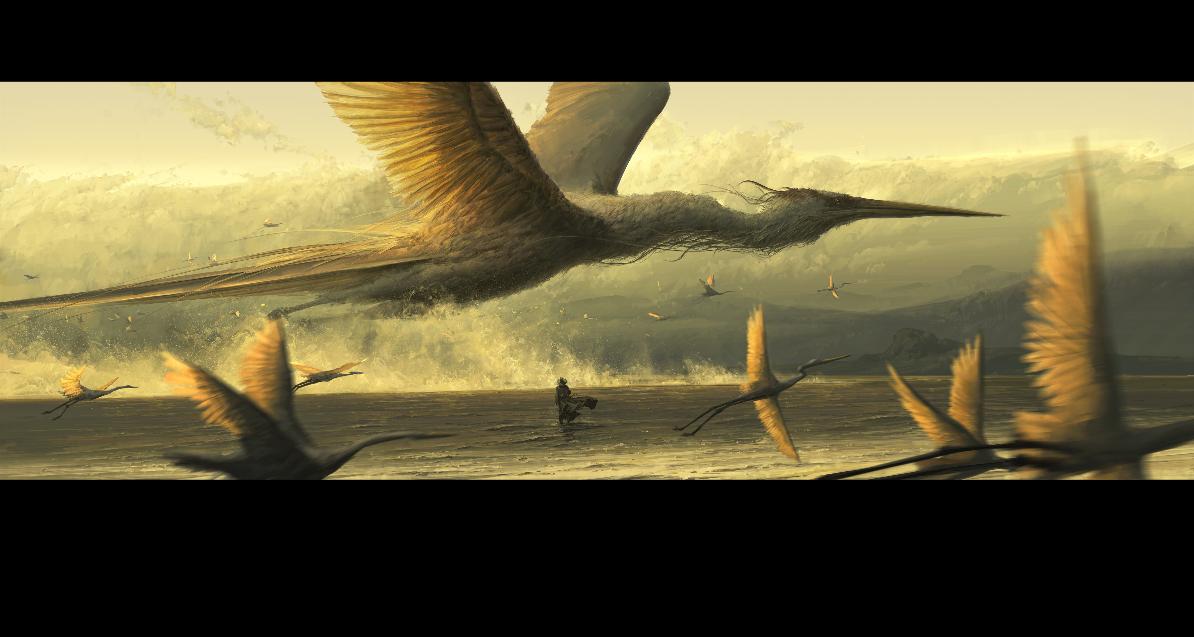 Banner image of the blog